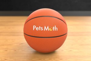 Pets Math Logo Design